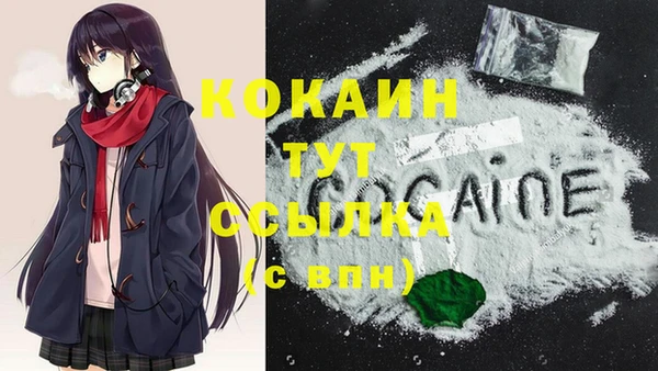 дживик Абаза