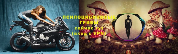 mdpv Алзамай