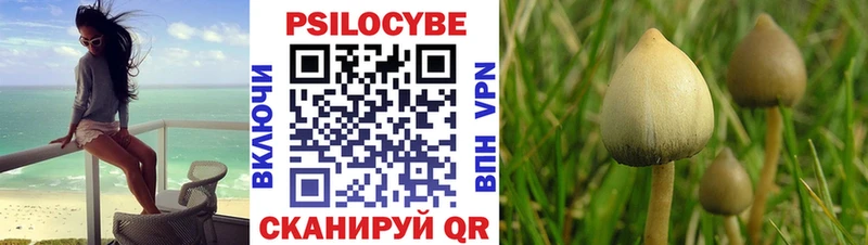 даркнет сайт  Пучеж  Галлюциногенные грибы ЛСД 